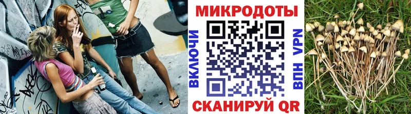 Псилоцибиновые грибы ЛСД Починок